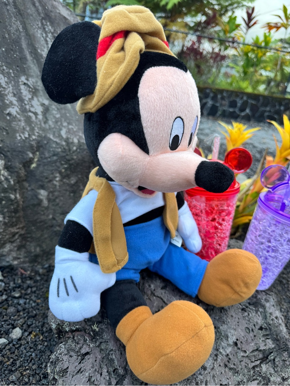 Disneyland Resort Mickey Mouse Plush & Mickey Ear Tumblers Bundle - Picture 6 of 9